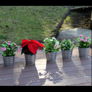 Daisy Plant Pots, Balcony & Garden Decor Galvanized Succulent Pots, Flower Pots - Set of 5 - Silver